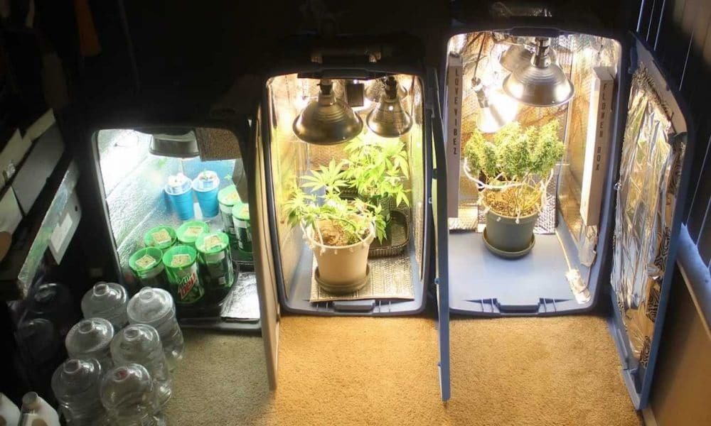 Weed Grow Box For Growing Cannabis Discreetly Learn Growing