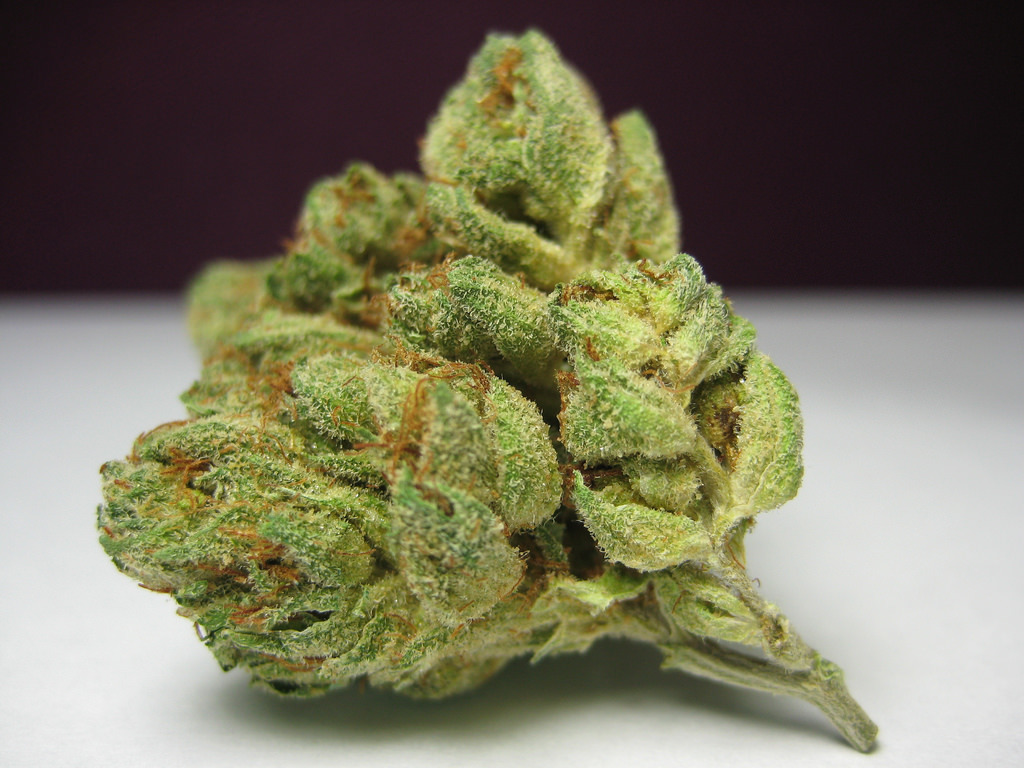 Top 10 Fruity Marijuana Strains - Learn Growing Marijuana