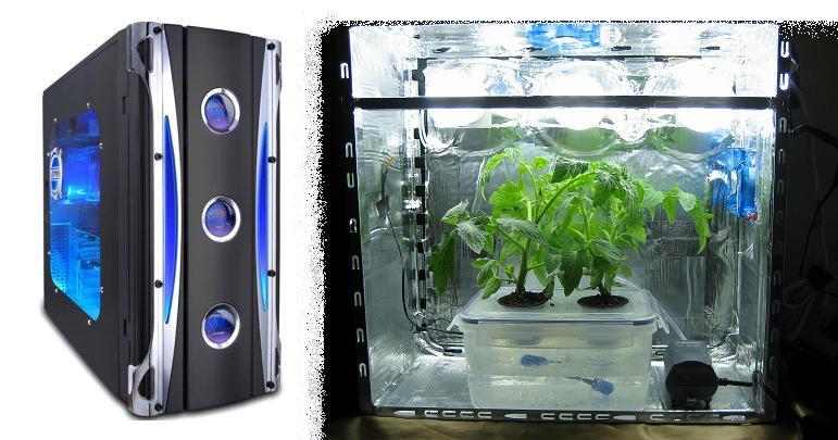 How to Make a PC Case Grow Room for Cannabis