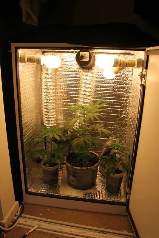 How To Build Your Own Pc Grow Box Learn Growing Marijuana