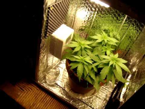 Pc case weed grow box